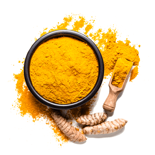 Turmeric powder and fresh turmeric